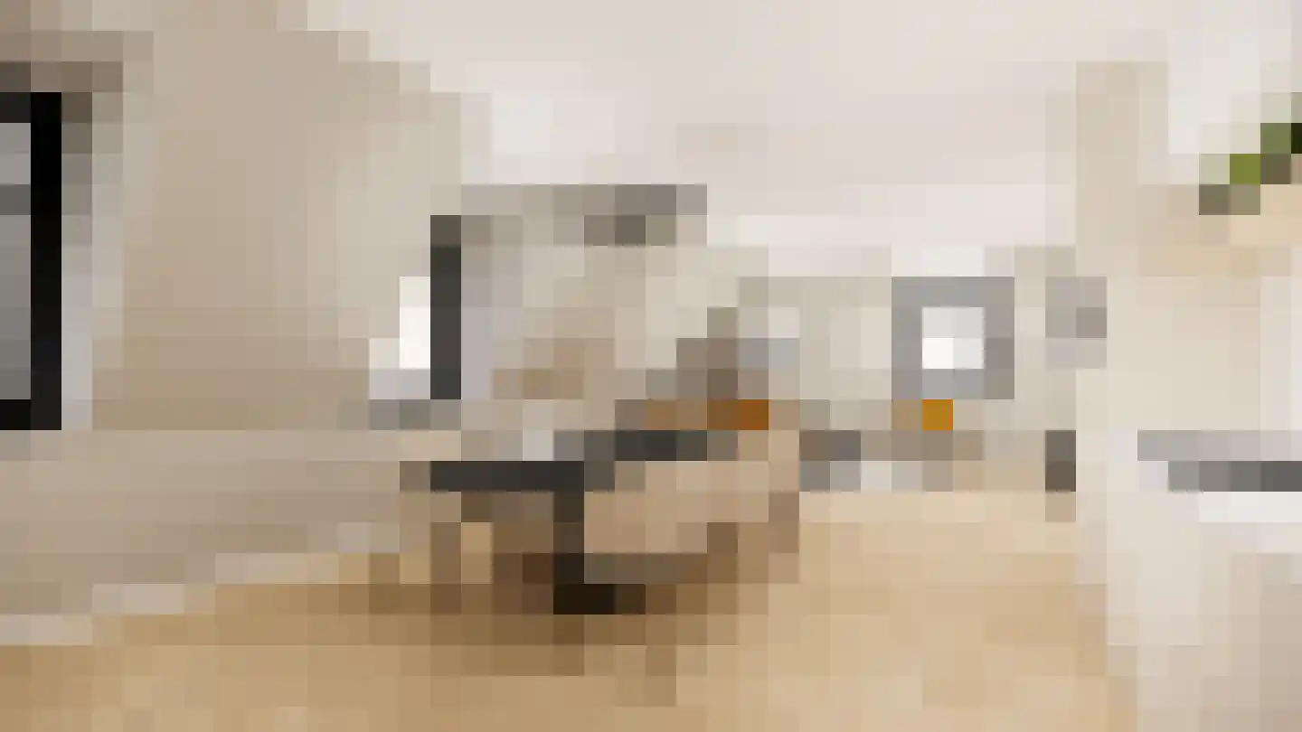 Hoofdstraat 49 Heeswijk-Dinther thumbnail 7