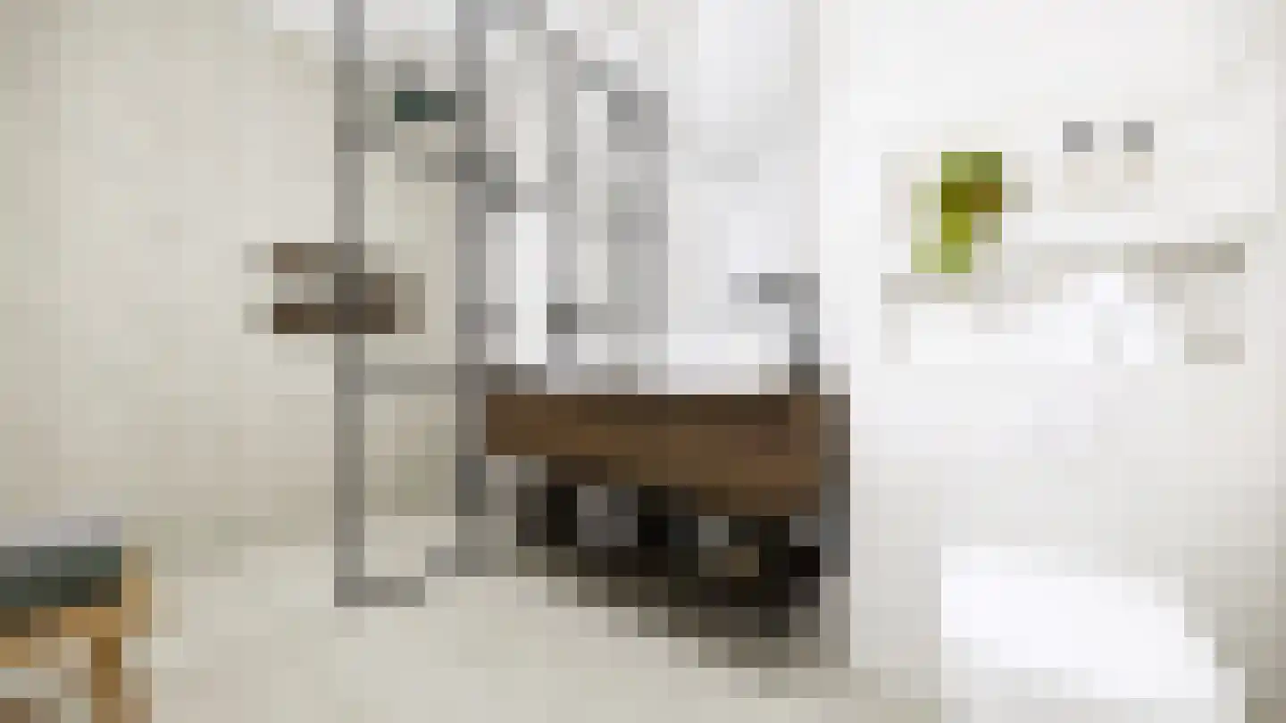 Hoofdstraat 49 Heeswijk-Dinther thumbnail 8