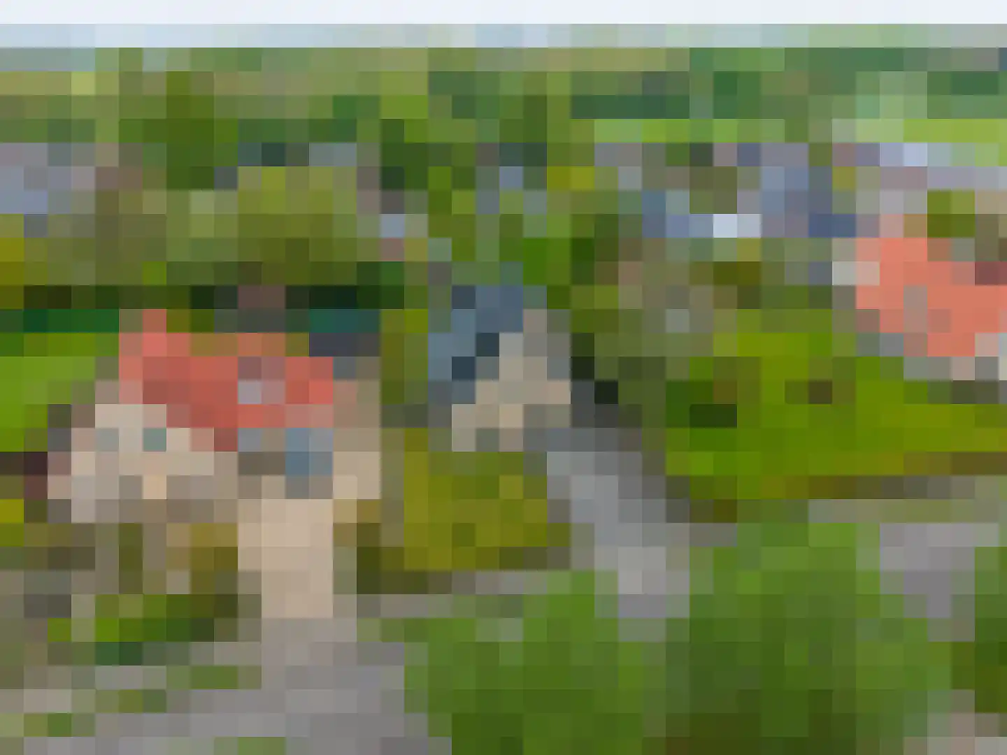 Hoofdstraat 49 Uithuizermeeden thumbnail 4