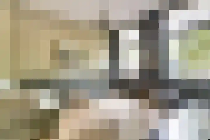 Hoofdstraat 5 De Lier thumbnail 10