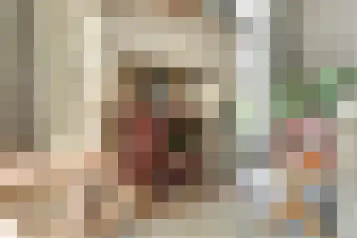 Hoofdstraat 5 De Lier thumbnail 13