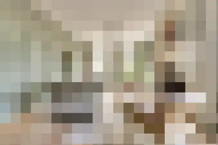Hoofdstraat 5 De Lier thumbnail 14
