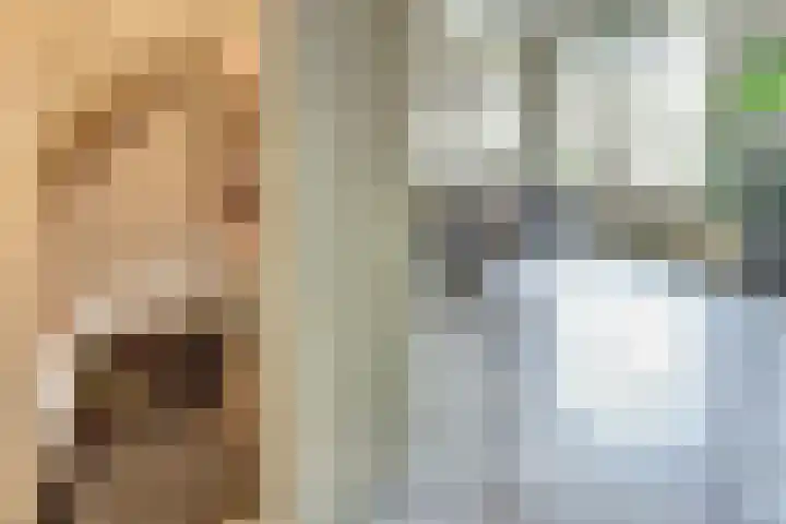 Hoofdstraat 5 De Lier thumbnail 17