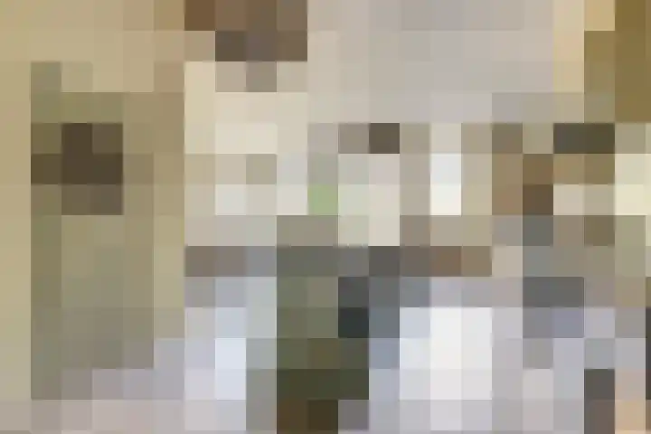 Hoofdstraat 5 De Lier thumbnail 18