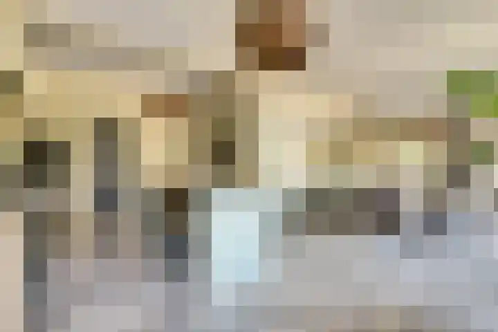 Hoofdstraat 5 De Lier thumbnail 19