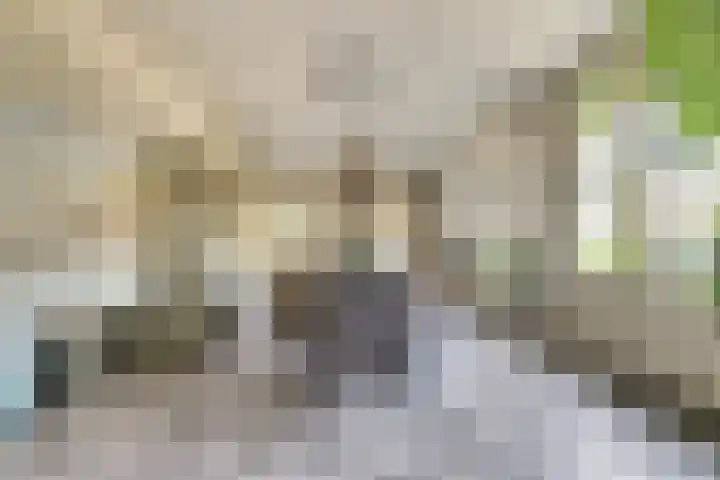 Hoofdstraat 5 De Lier thumbnail 20