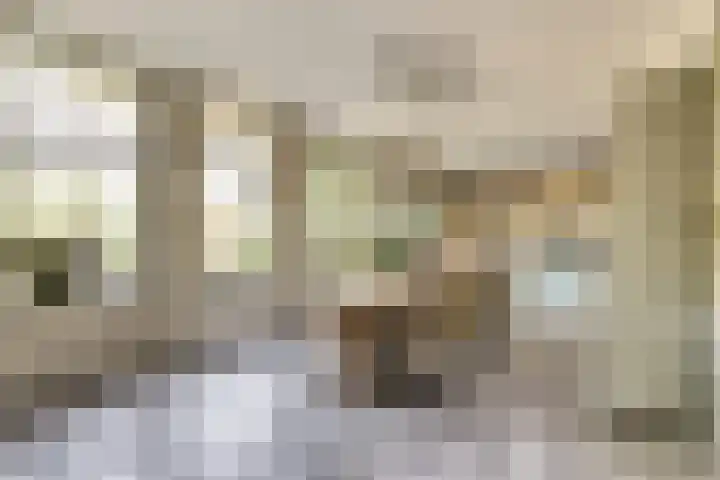 Hoofdstraat 5 De Lier thumbnail 22