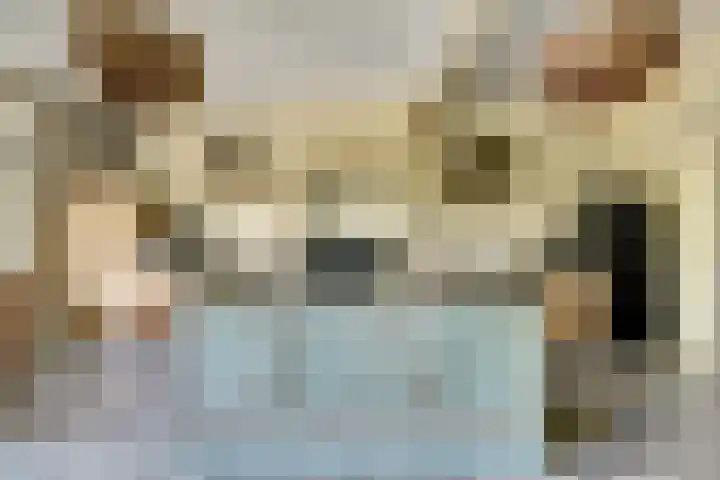 Hoofdstraat 5 De Lier thumbnail 24