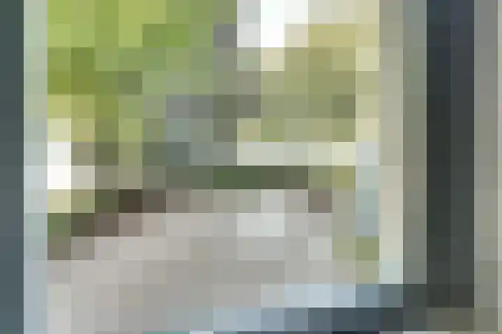 Hoofdstraat 5 De Lier thumbnail 31