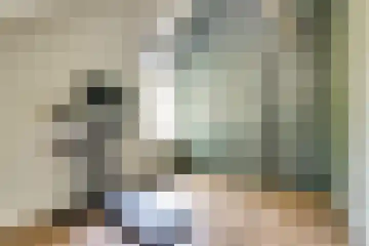 Hoofdstraat 5 De Lier thumbnail 37