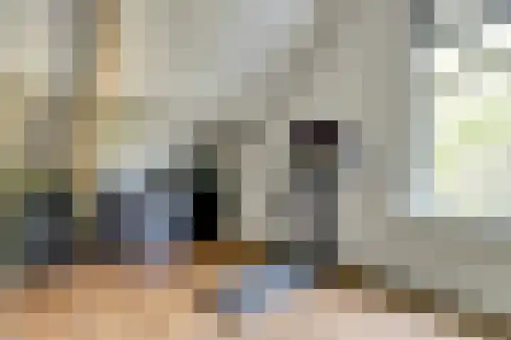 Hoofdstraat 5 De Lier thumbnail 38