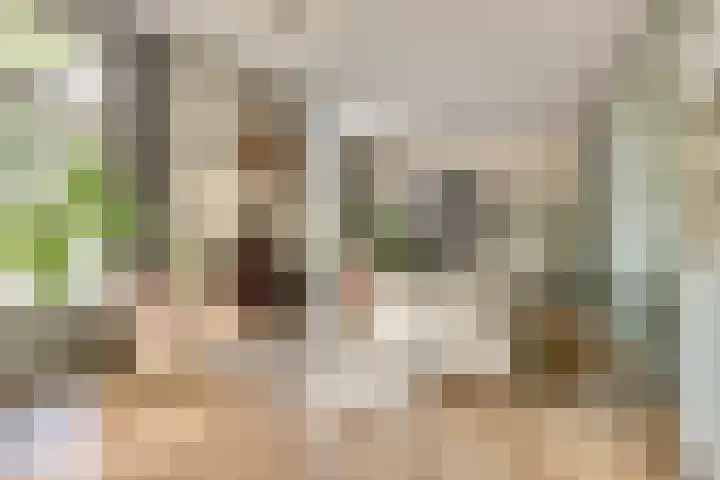 Hoofdstraat 5 De Lier thumbnail 4