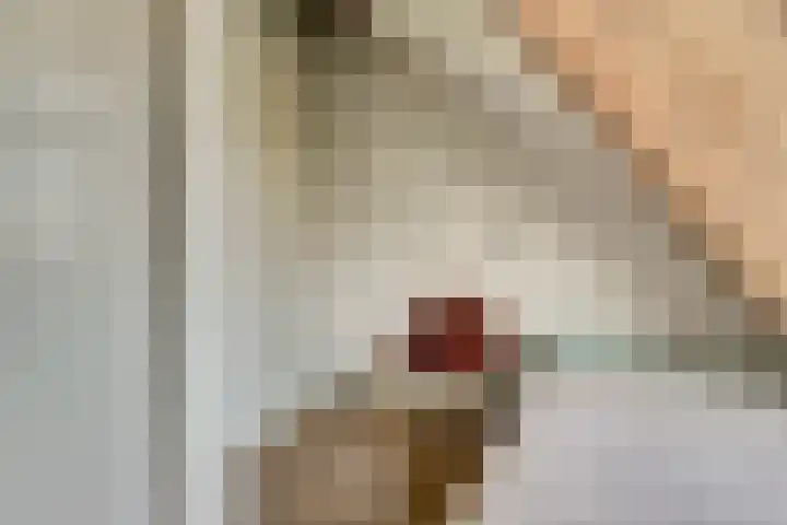 Hoofdstraat 5 De Lier thumbnail 42