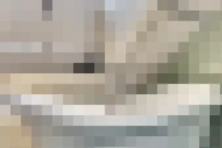 Hoofdstraat 5 De Lier thumbnail 46