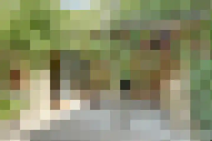 Hoofdstraat 5 De Lier thumbnail 51