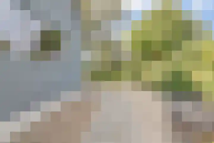 Hoofdstraat 5 De Lier thumbnail 53
