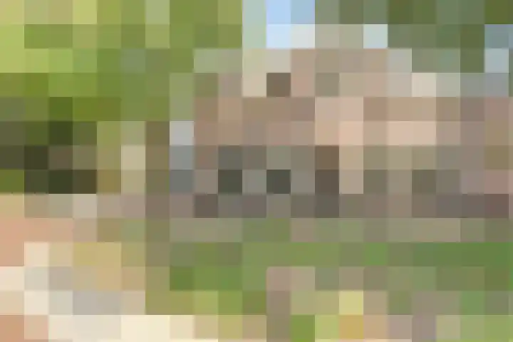 Hoofdstraat 5 De Lier thumbnail 59