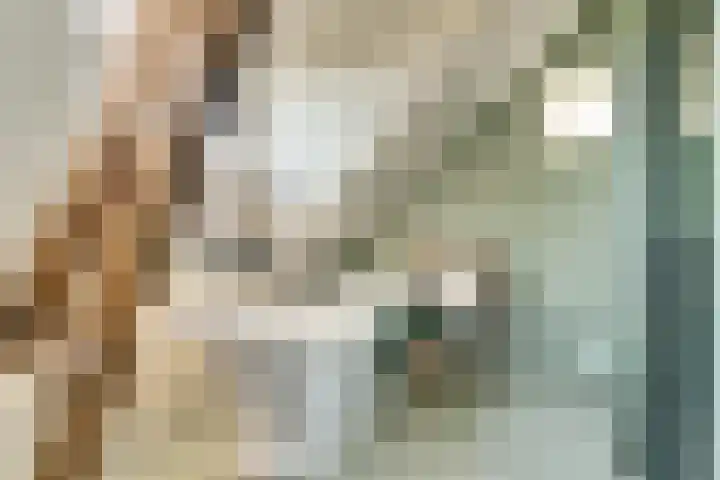 Hoofdstraat 5 De Lier thumbnail 6
