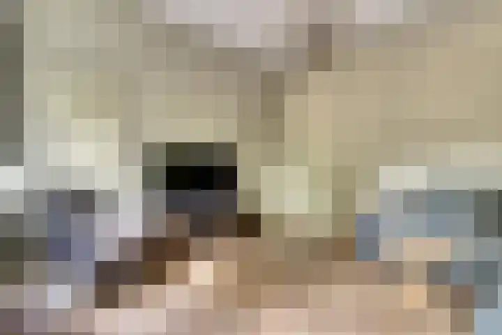 Hoofdstraat 5 De Lier thumbnail 9