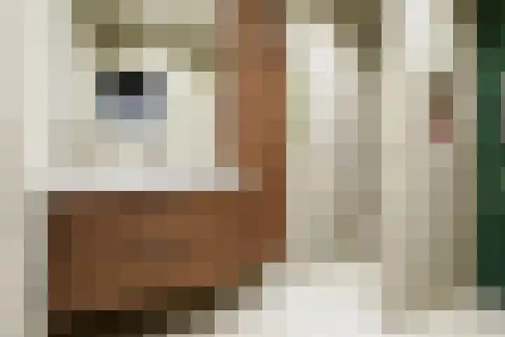 Hoofdstraat 5 Deurningen thumbnail 22