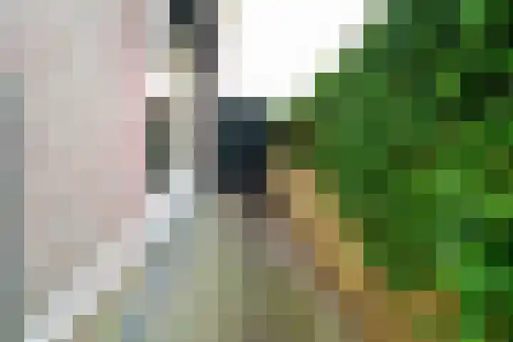 Hoofdstraat 5 Deurningen thumbnail 30
