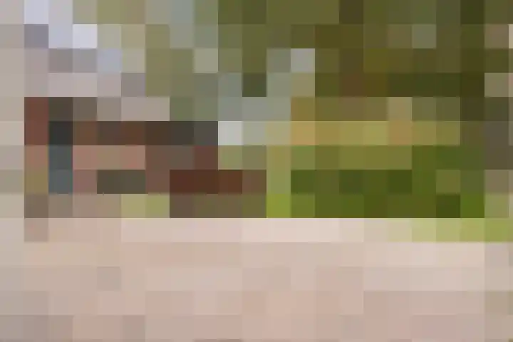 Hoofdstraat 5 Schoonloo thumbnail 19