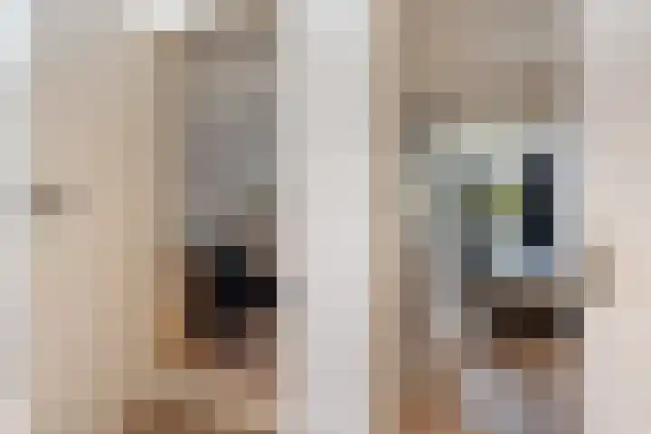 Hoofdstraat 5 Schoonloo thumbnail 20