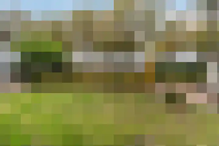 Hoofdstraat 5 Schoonloo thumbnail 30