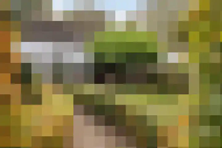 Hoofdstraat 5 Schoonloo thumbnail 31