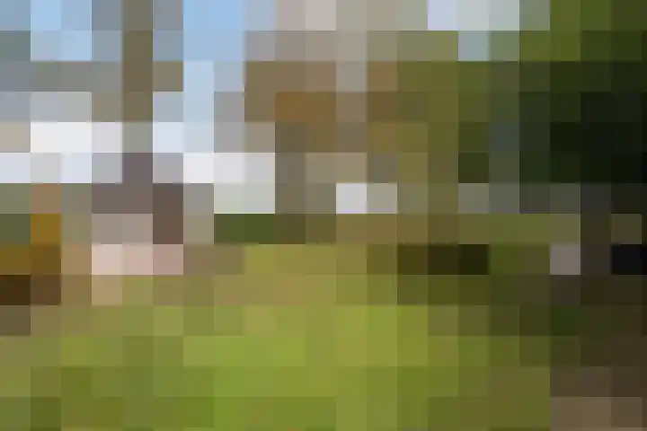 Hoofdstraat 5 Schoonloo thumbnail 32