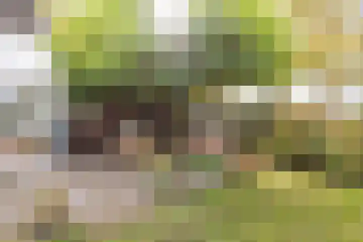 Hoofdstraat 5 Schoonloo thumbnail 33
