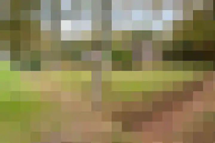 Hoofdstraat 5 Schoonloo thumbnail 36