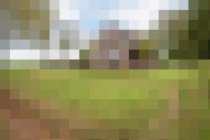 Hoofdstraat 5 Schoonloo thumbnail 39