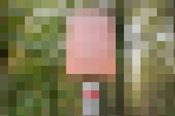 Hoofdstraat 5 Schoonloo thumbnail 44