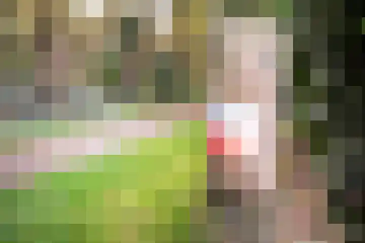 Hoofdstraat 5 Schoonloo thumbnail 45