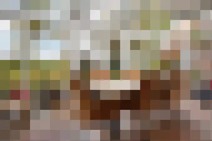 Hoofdstraat 5 Schoonloo thumbnail 5