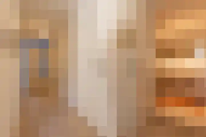 Hoofdstraat 50 b Gorssel thumbnail 22