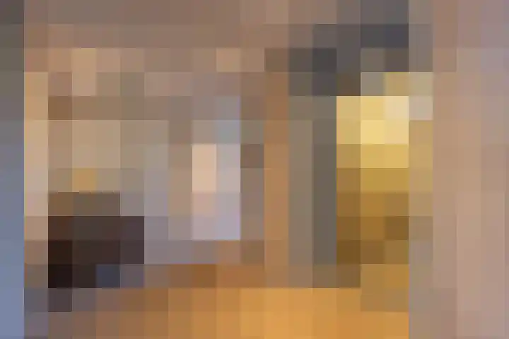 Hoofdstraat 50 b Gorssel thumbnail 24