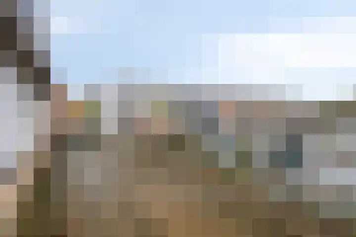 Hoofdstraat 50 b Kortgene thumbnail 25