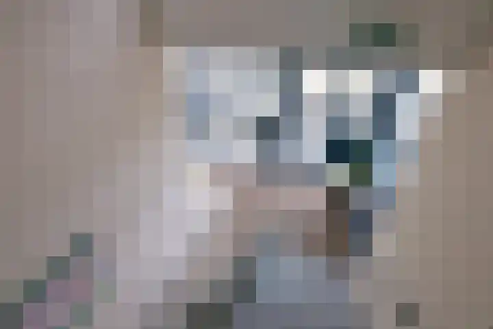 Hoofdstraat 50 c Gorssel thumbnail 26