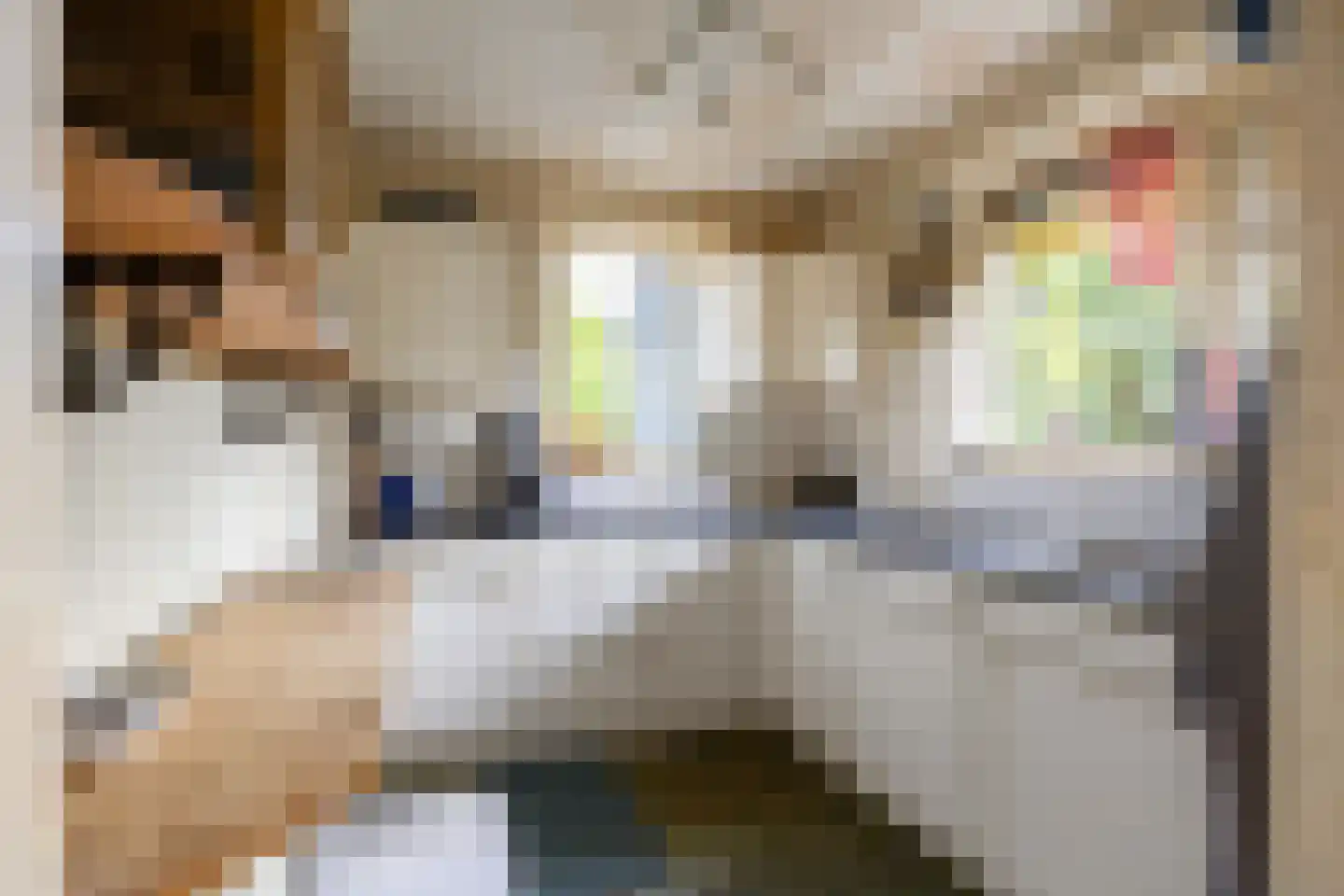 Hoofdstraat 50 Houwerzijl thumbnail 10