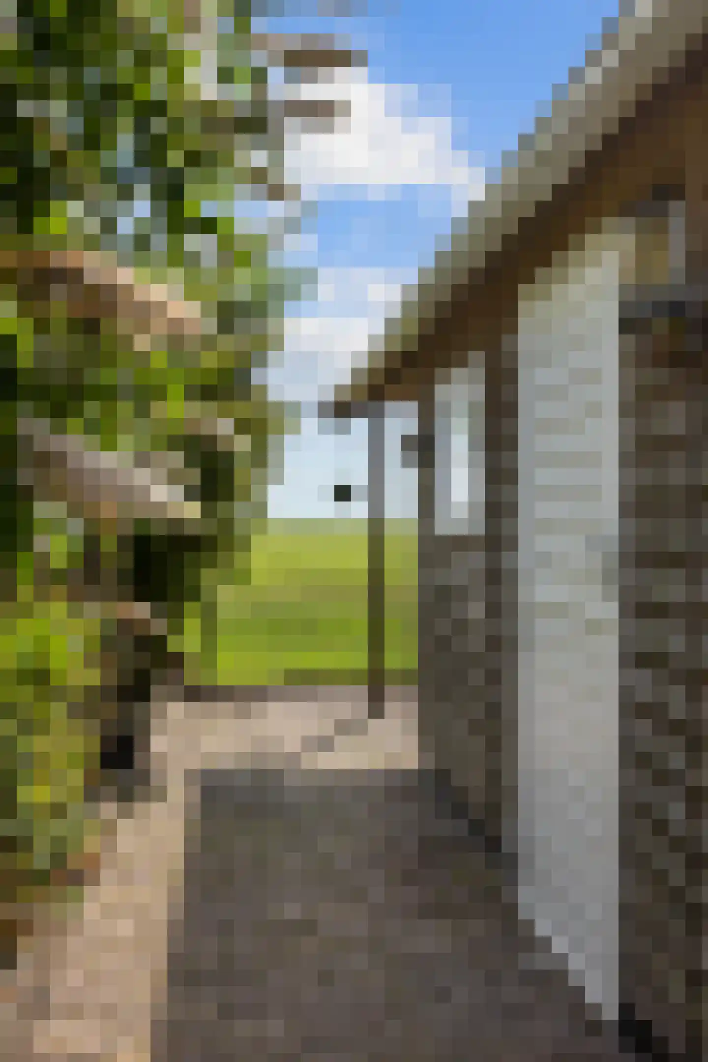 Hoofdstraat 50 Houwerzijl thumbnail 22