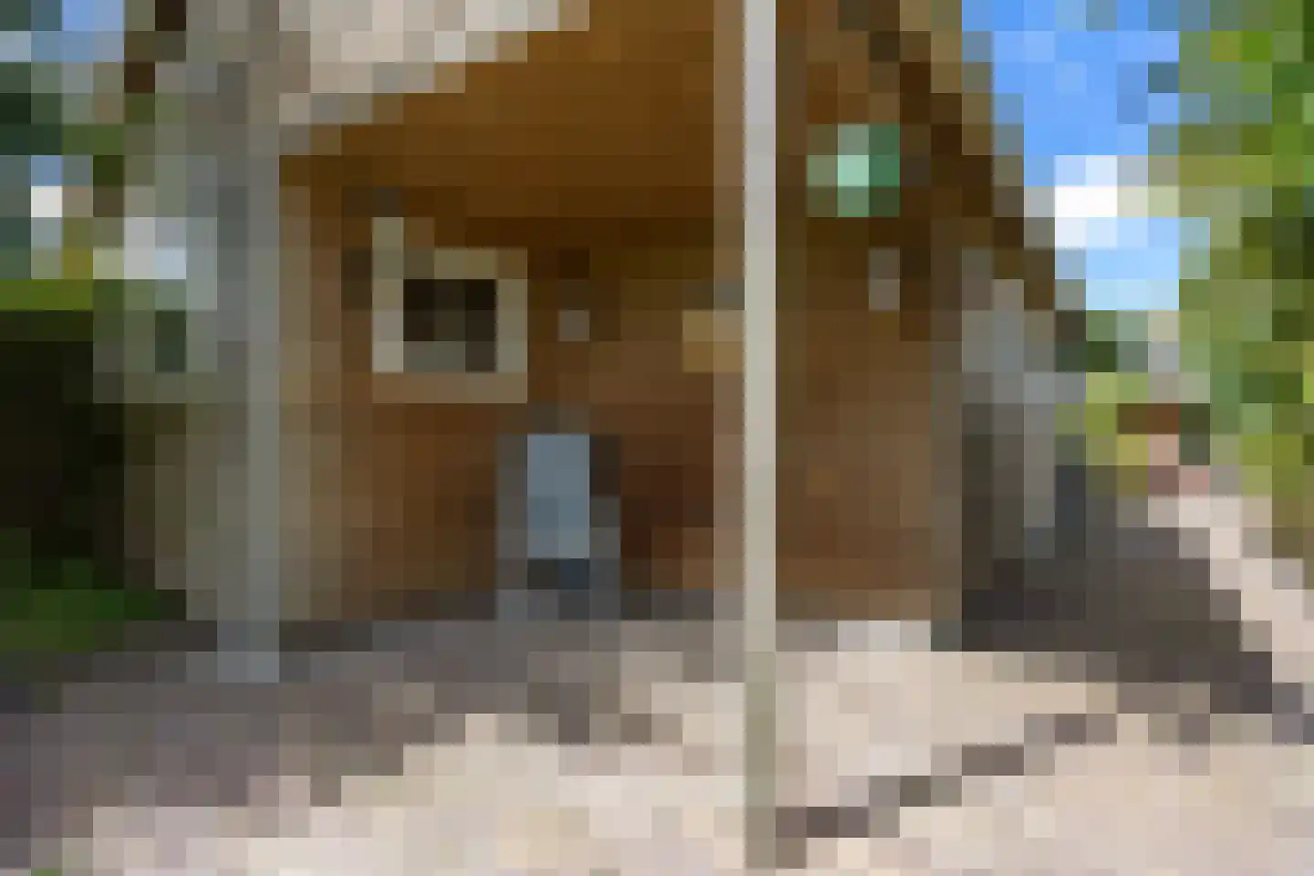 Hoofdstraat 50 Houwerzijl thumbnail 24