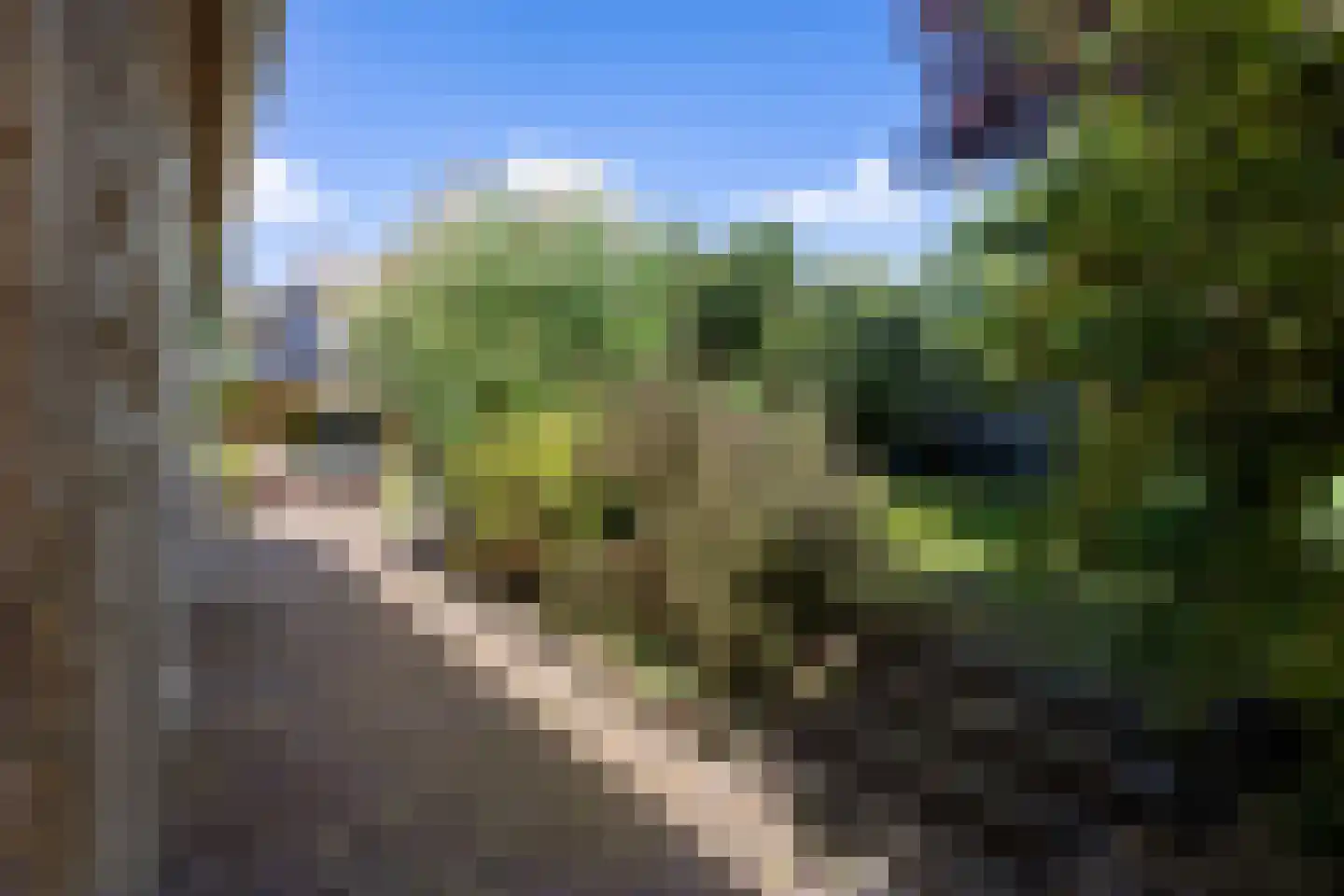 Hoofdstraat 50 Houwerzijl thumbnail 30