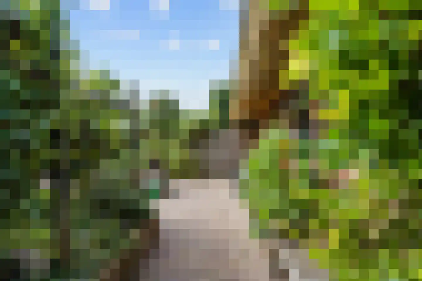 Hoofdstraat 50 Houwerzijl thumbnail 32