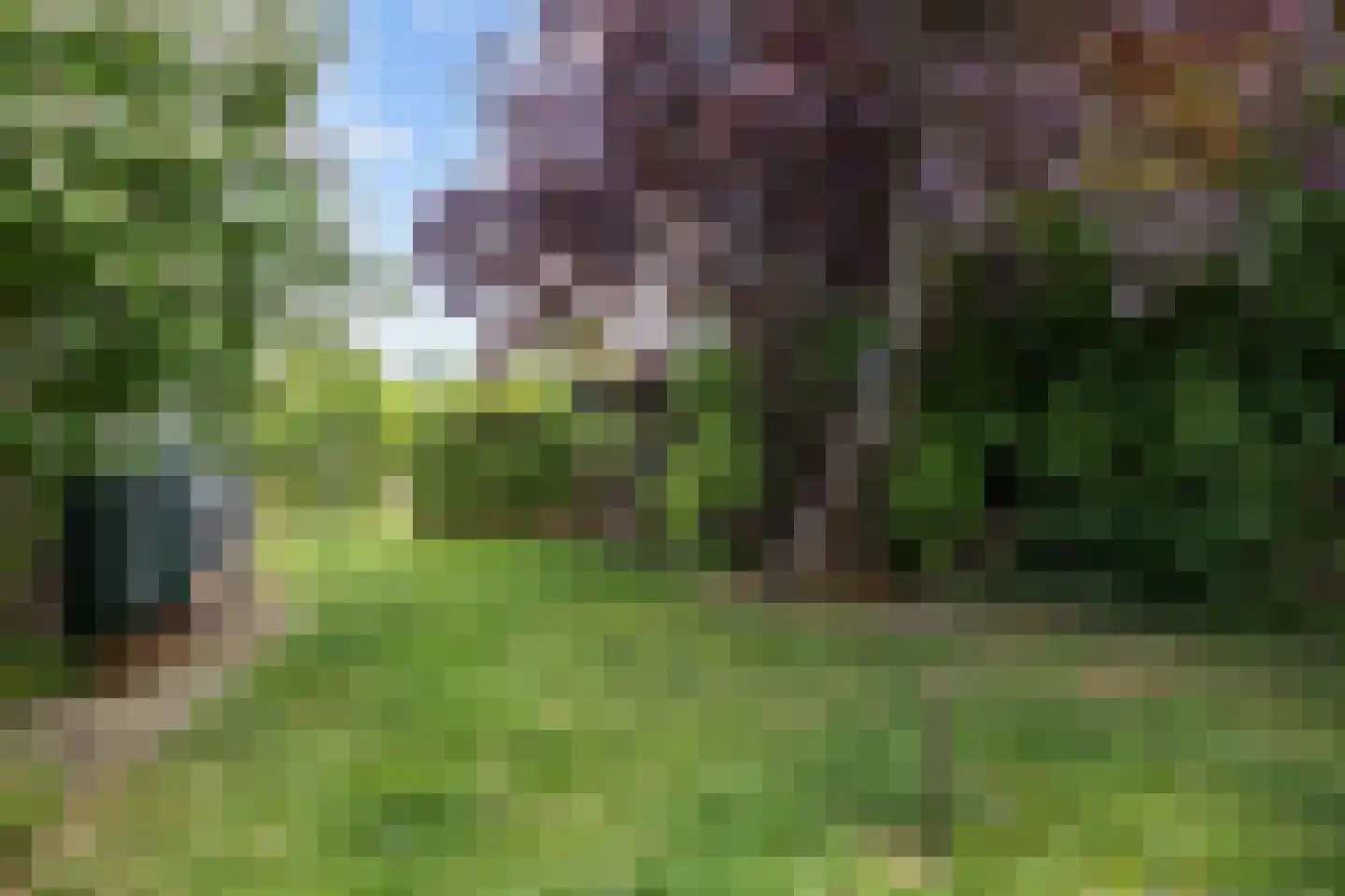 Hoofdstraat 50 Houwerzijl thumbnail 33