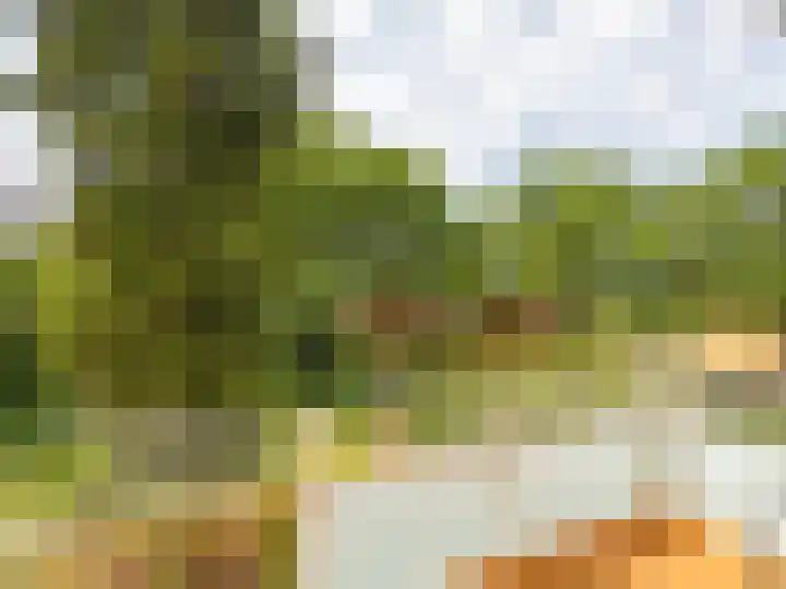 Hoofdstraat 50 l Gorssel thumbnail 12