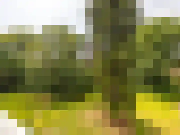 Hoofdstraat 50 l Gorssel thumbnail 13