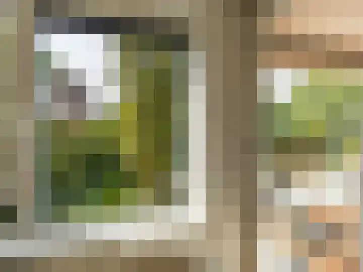Hoofdstraat 50 l Gorssel thumbnail 18