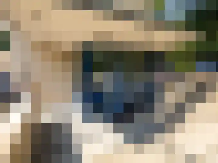 Hoofdstraat 50 l Gorssel thumbnail 23